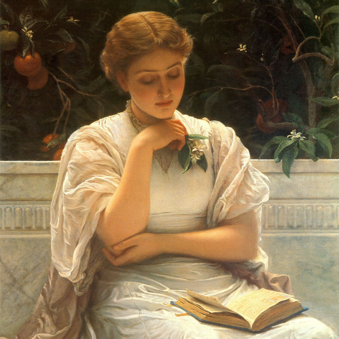 Настоящая английская роза работы художника Чарльза Эдварда Перуджини (1839-1918)
